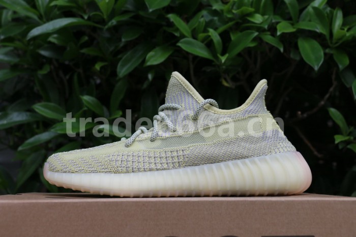 Authentic Yeezy Boost 350 V2 “ANTLIA”