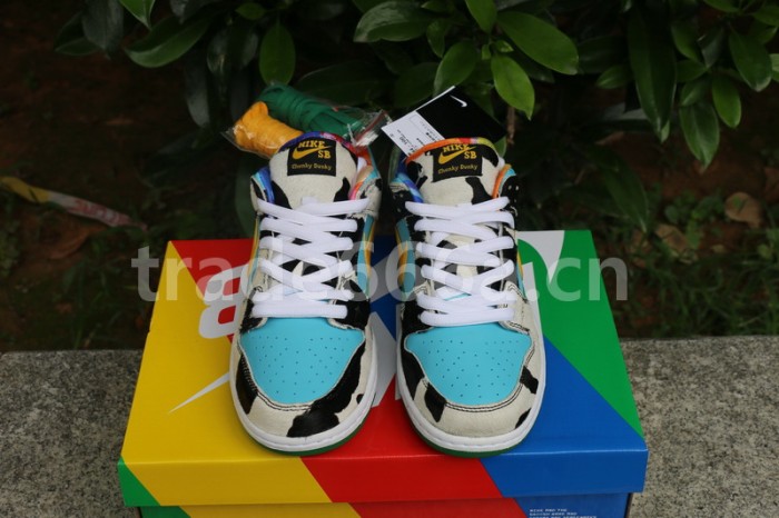 Authentic Ben & Jerry's x Nike SB Dunk Low Pro QS