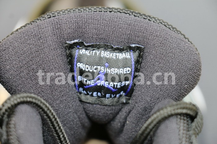 Authentic Air Jordan 11 “Space Jam” 2016 GS