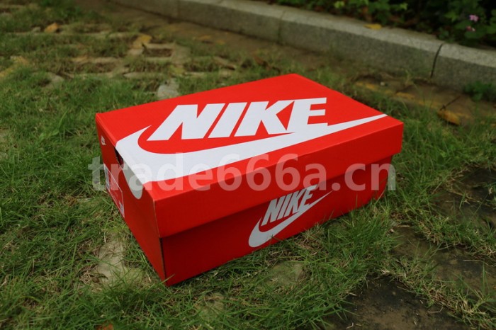 Authentic Nike Dunk Low “Plum”