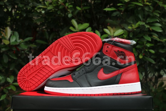 Authentic Air Jordan 1 Retro High OG “Homage To Home”