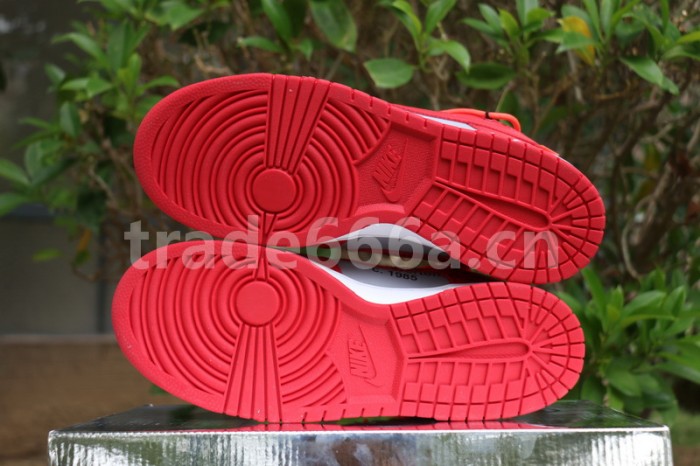 Authentic OFF-WHITE x Nike Dunk Low Red Grey