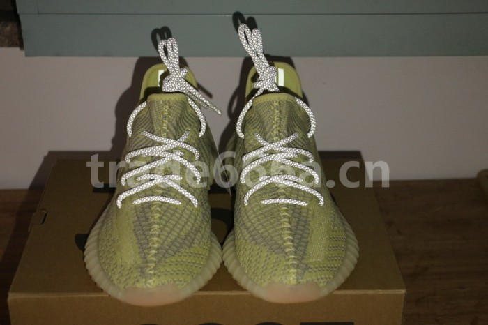 Authentic Yeezy Boost 350 V2 “ANTLIA”