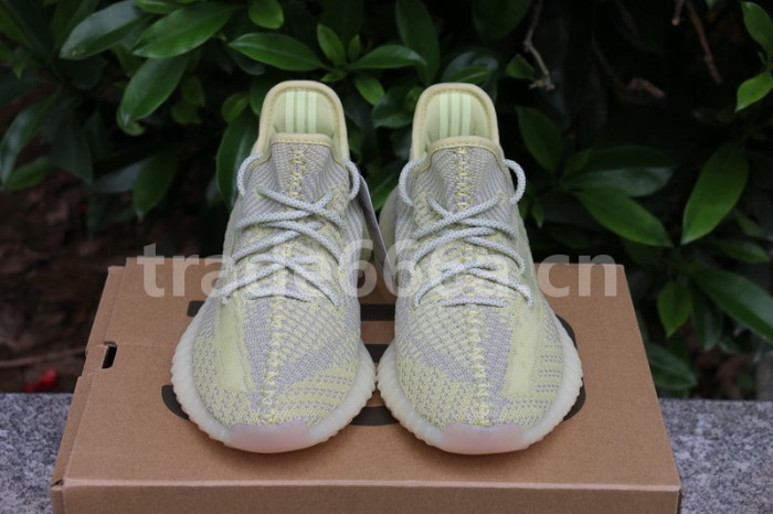 Authentic Yeezy Boost 350 V2 “ANTLIA”