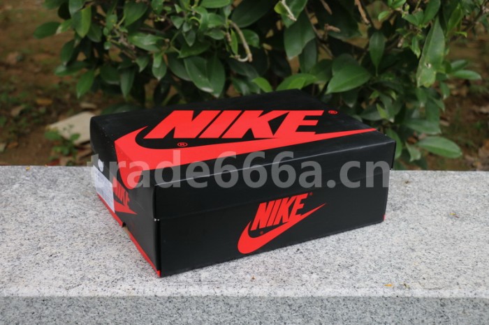 Authentic Nike SB x Air Jordan 1 Lakers