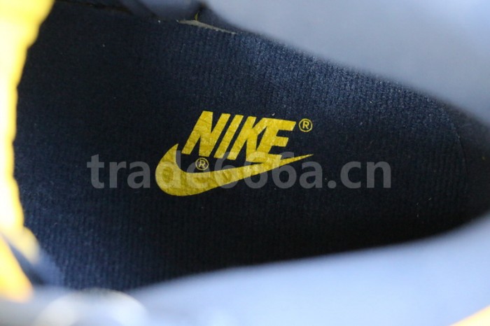 Authentic Nike Dunk High “Michigan”