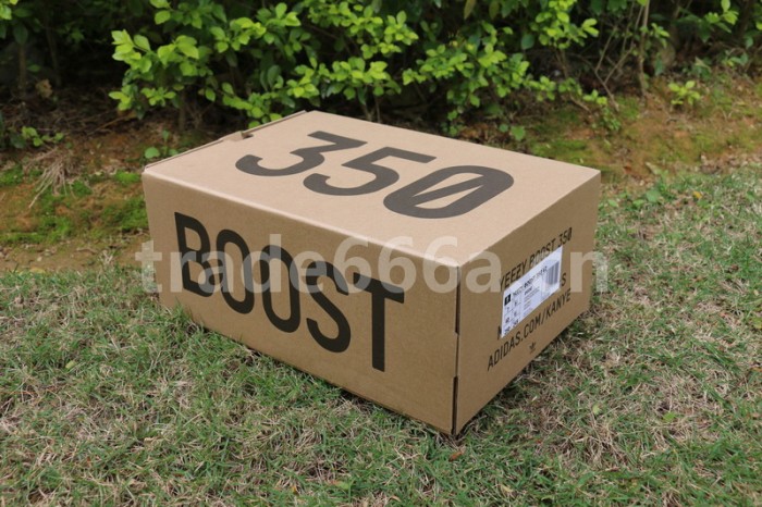 Authentic AD Yeezy 350 Boost V2 “Glow”