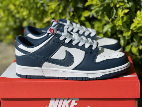 Authentic Nike Dunk Low＂Valerian Blue＂