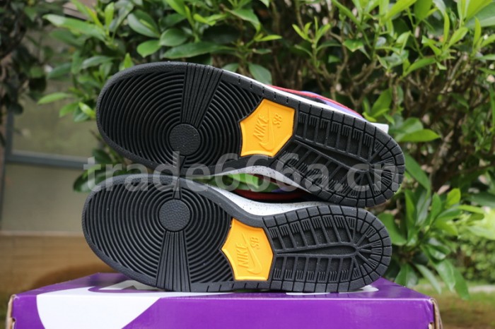 Authentic Nike SB Dunk Low “ACG”