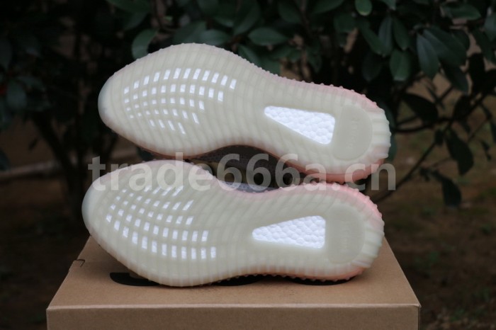 Authentic Yeezy Boost 350 V2 “True Form”