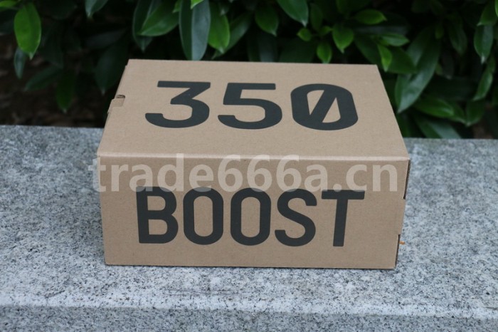 Authentic Yeezy Boost 350 V2 Static Kids Shoes