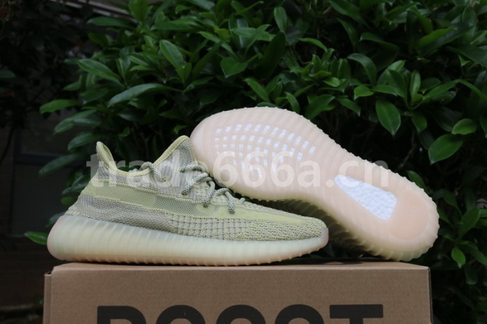 Authentic Yeezy Boost 350 V2 “ANTLIA”
