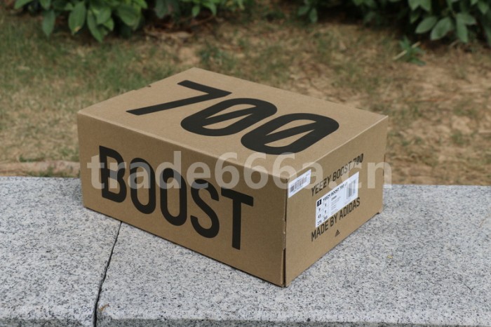 Authentic Yeezy 700 V3 White Grey