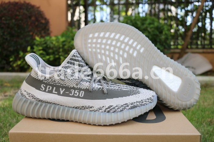 Authentic AD Yeezy 350 V2 Turtle Dove