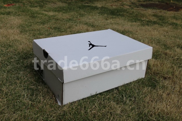 Authentic Air Jordan 4 “Purple Metallic”