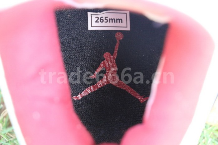 Authentic Air Jordan 4 “Fire Red”