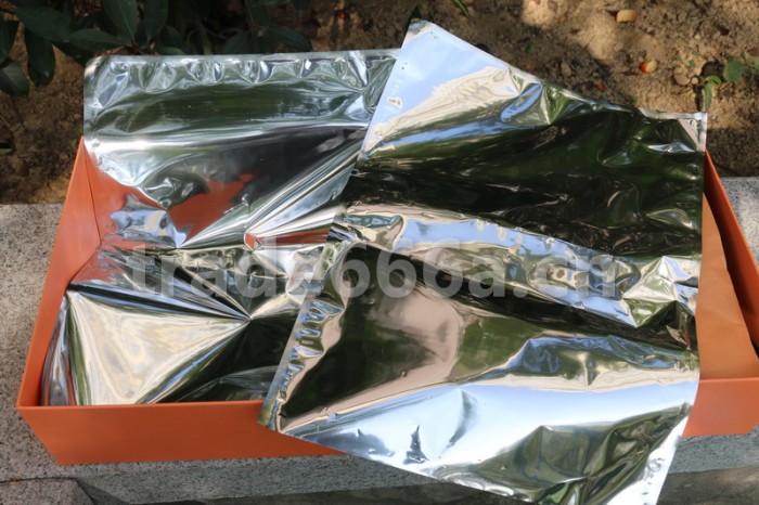 Authentic Nike Air Fear of God 1 Black