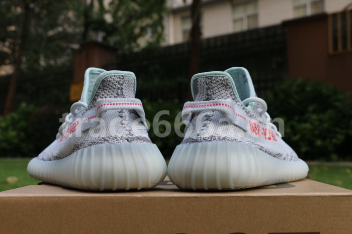 Authentic AD Yeezy Boost 350 V2 “Blue Tint”