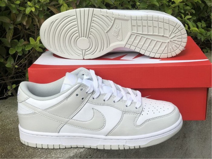 Authentic Nike Dunk Low Photon Dust