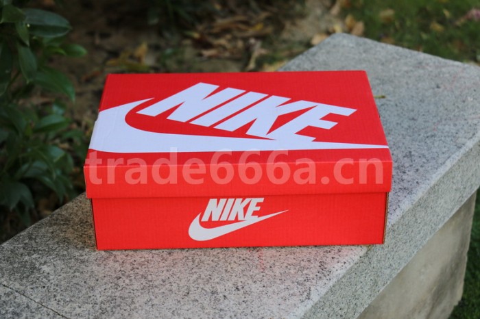 Authentic Kasina x Nike Dunk Low