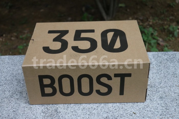 Authentic Yeezy Boost 350 V2 “True Form”
