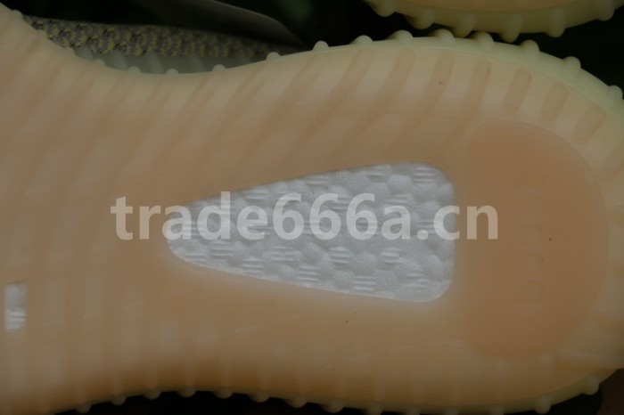 Authentic Yeezy Boost 350 V2 “ANTLIA”