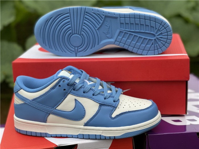 Authentic Nike Dunk Low “Coast”
