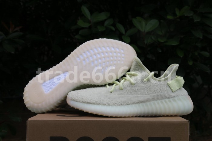 Authentic Yeezy 350 V2 “Butter”