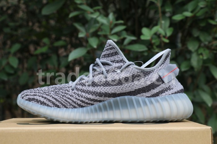 Authentic AD Yeezy Boost 350 V2 “Beluga 2.0”