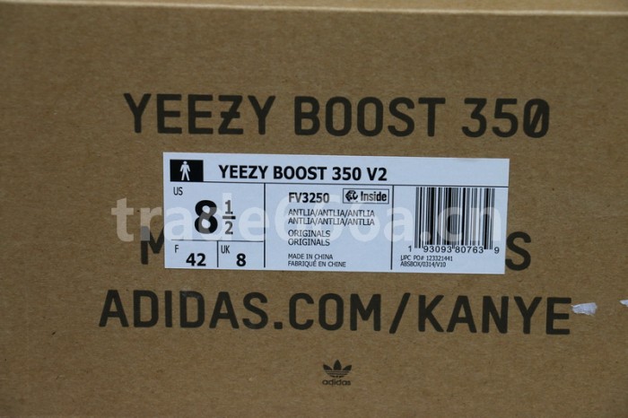 Authentic Yeezy Boost 350 V2 “ANTLIA”
