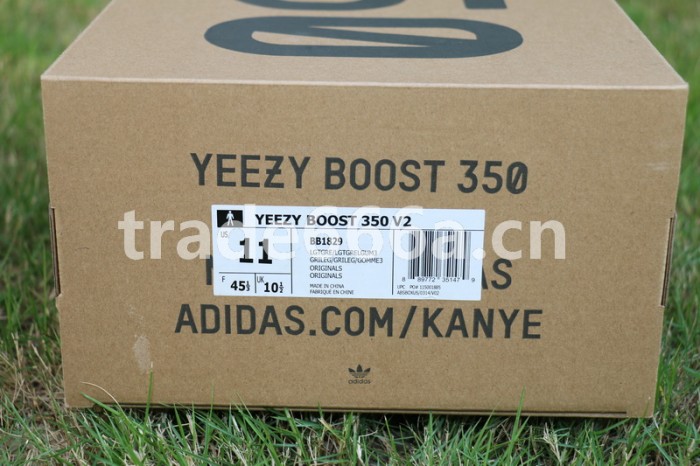 Authentic AD Yeezy 350 V2 Turtle Dove