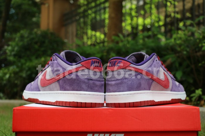 Authentic Nike Dunk Low “Plum”