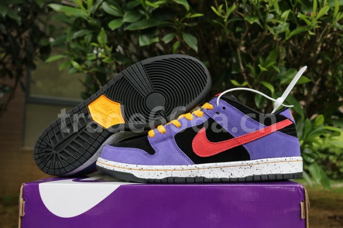 Authentic Nike SB Dunk Low “ACG”
