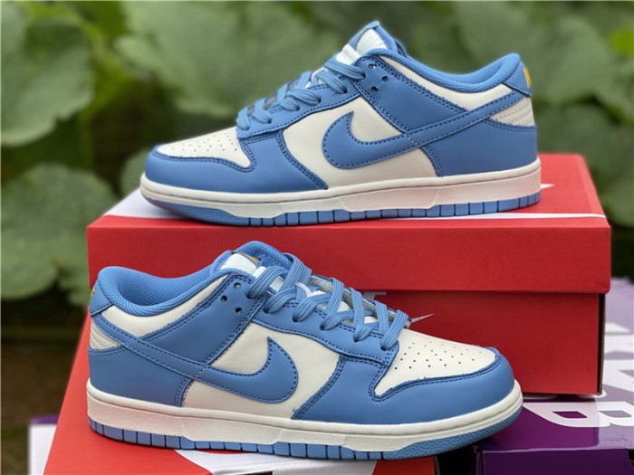 Authentic Nike Dunk Low “Coast”