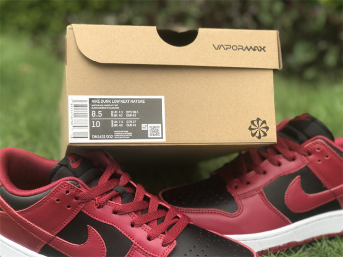 Authentic Nike Dunk Low Next Nature Bred