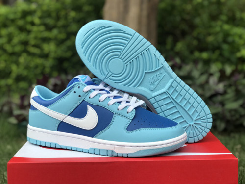 Authentic Nike Dunk Low “Argon”