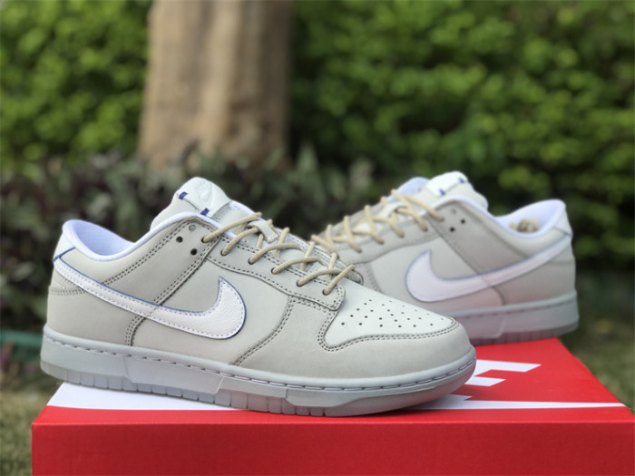 Authentic Nike Dunk Low Premium DX3722-001