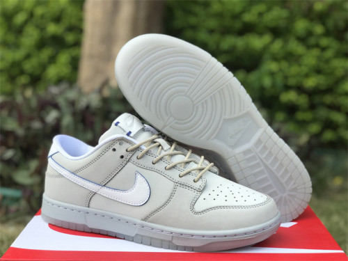 Authentic Nike Dunk Low Premium DX3722-001