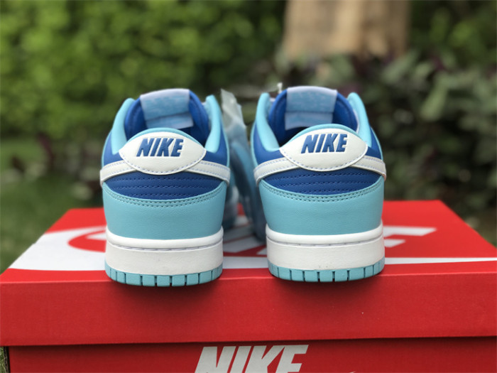Authentic Nike Dunk Low “Argon”