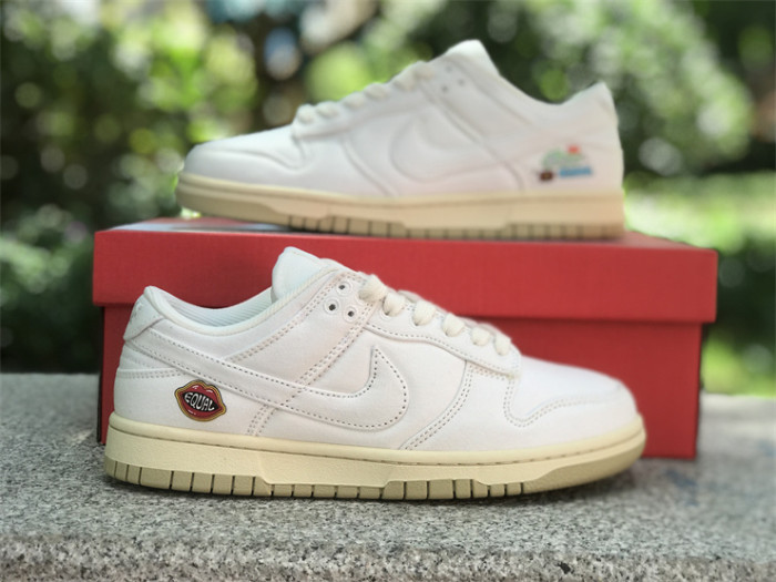 Authentic Nike Dunk Low “The Future is Equal”