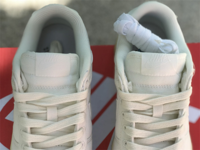 Authentic Nike Dunk Low “The Future is Equal”