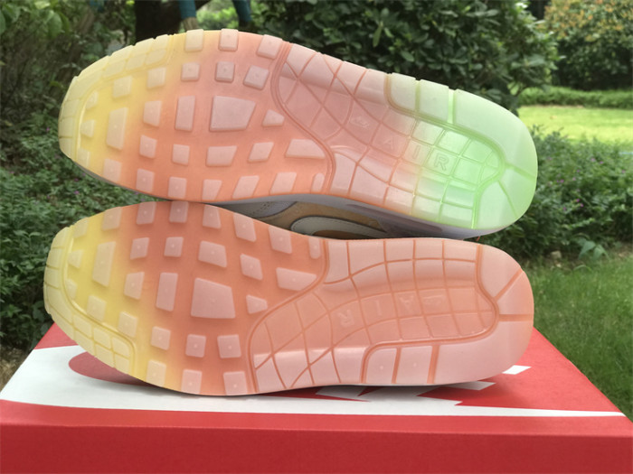 Authentic Nike Air Max 1 FJ7734-101