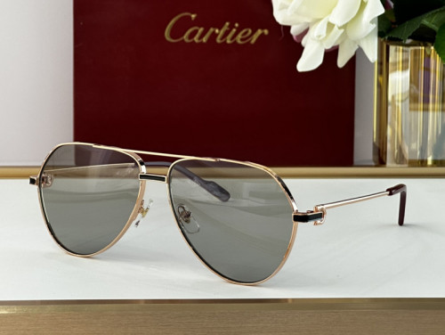 Cartier Sunglasses AAAA-3168