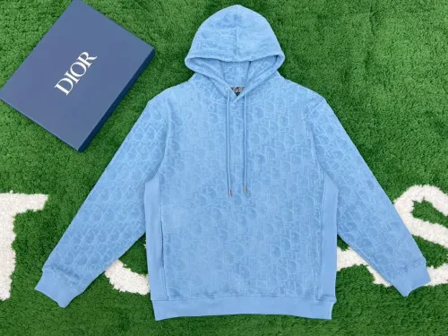 Dior Hoodies High End Quality-155