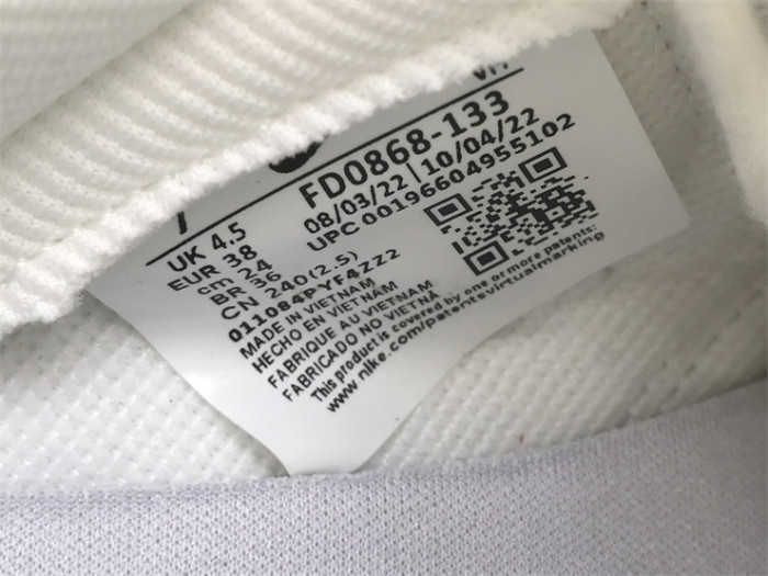 Authentic Nike Dunk Low “The Future is Equal”