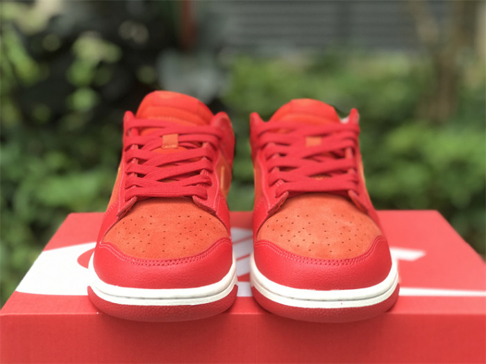 Authentic Nike Dunk Low ATL