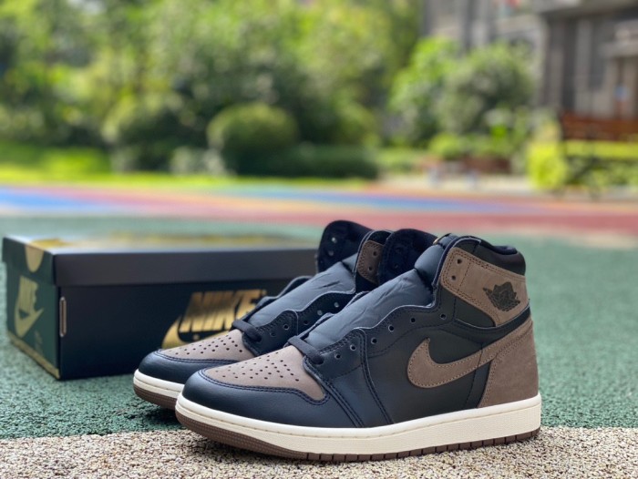 Authentic Air Jordan 1 High OG Palomino