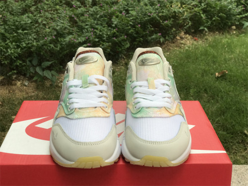 Authentic Nike Air Max 1 FJ7734-101