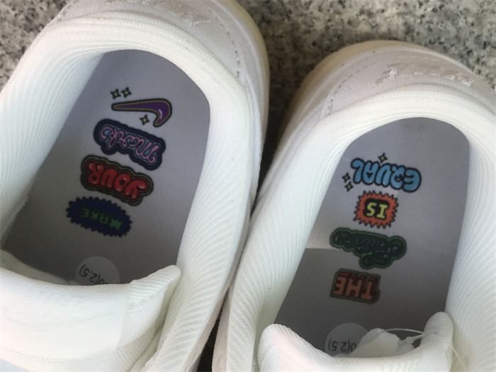 Authentic Nike Dunk Low “The Future is Equal”