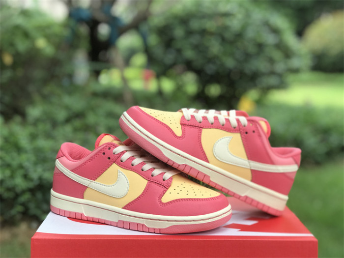 Authentic Nike Dunk Low DH9765-200